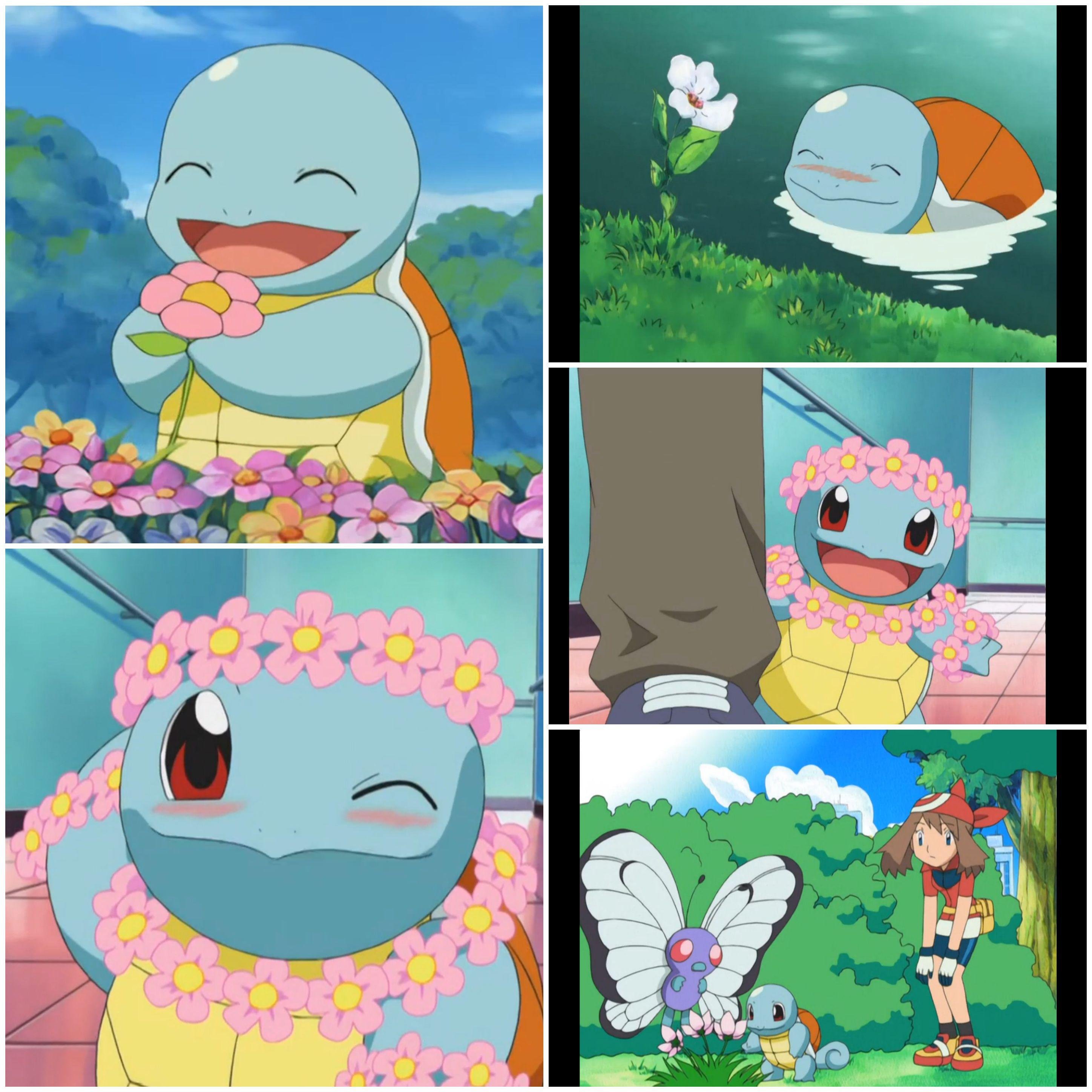 May’s Squirtle – Pokémon anime