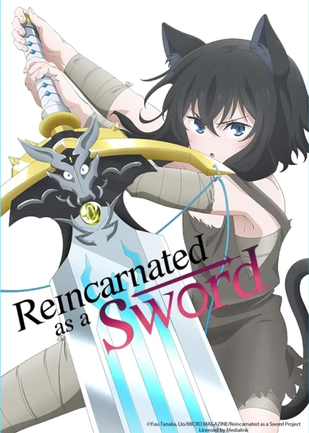 Reincarnated as a Sword anime