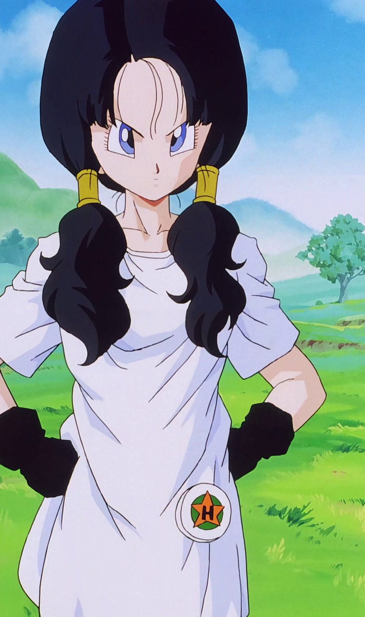 Videl – Dragon Ball Z anime