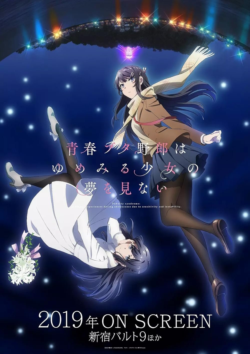 Rascal Does Not Dream of a Dreaming Girl anime